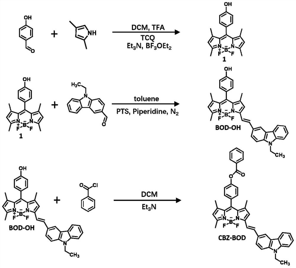 Novel BODIPY fluorescent probe for detecting carboxylesterase 1, preparation method and application thereof