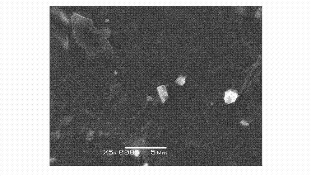 Method for conducting chemical modification on nitrile butadiene rubber surface by using oxidation solution