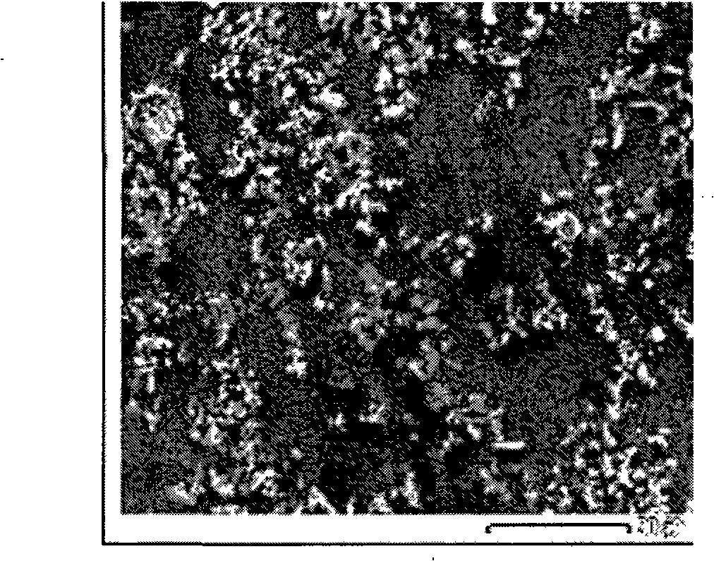 Method for directly preparing Mg-Zr alloy by MgCl2, K2ZrF6 and ZrO2 electrolysis