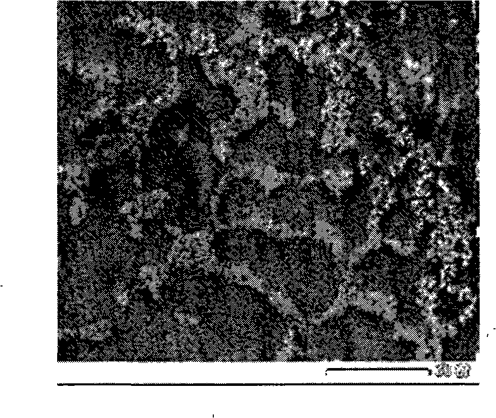 Method for directly preparing Mg-Zr alloy by MgCl2, K2ZrF6 and ZrO2 electrolysis