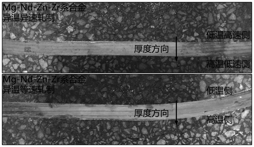 Magnesium alloy plate strip different-temperature different-speed coordinated rolling device and application