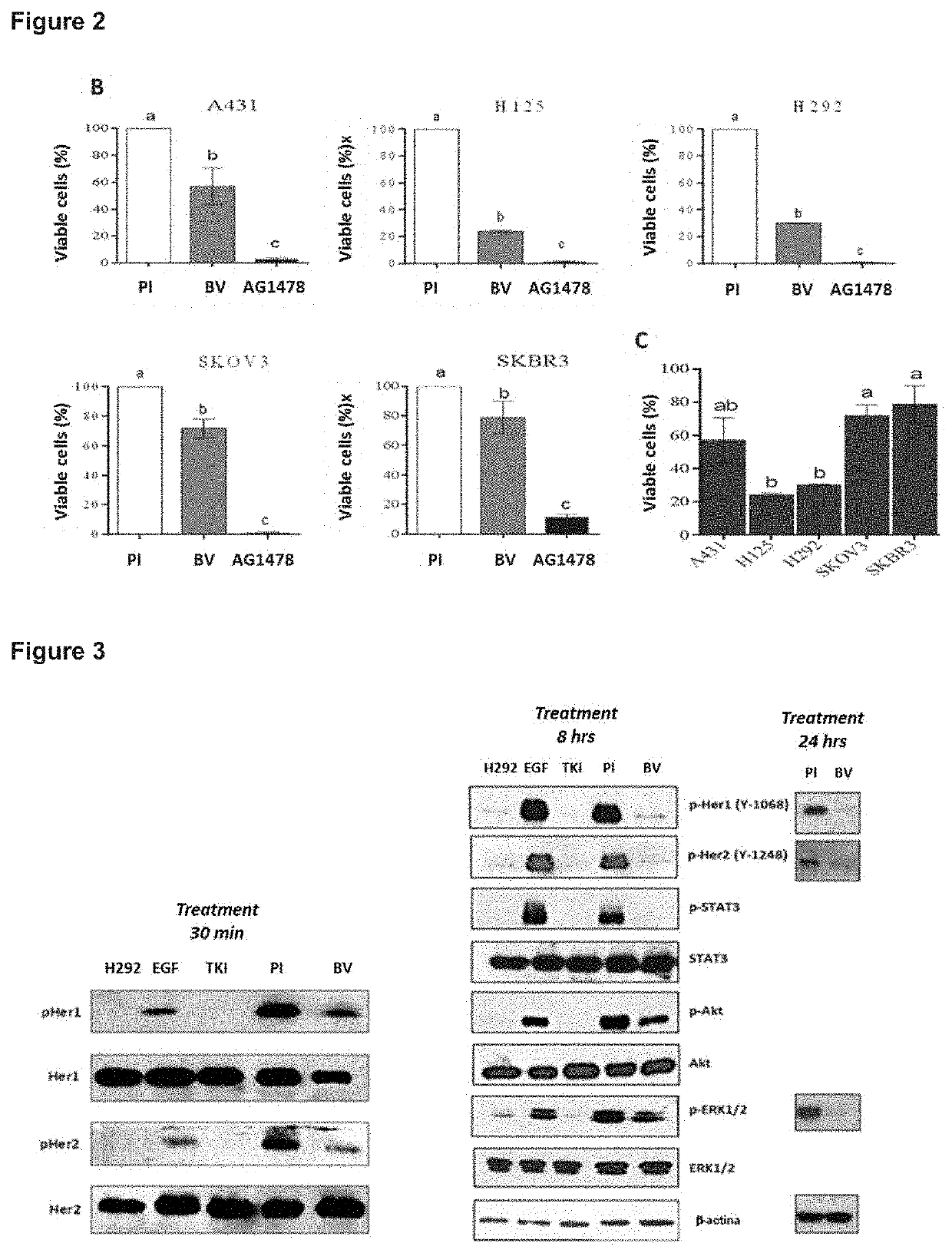 Method for the treatment of patients with carcinomas