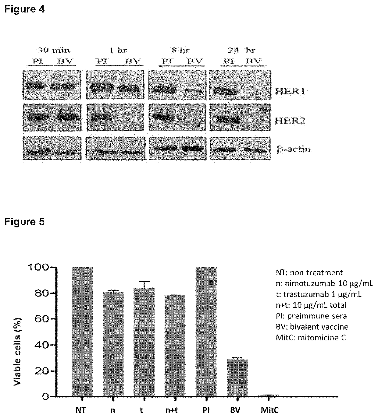 Method for the treatment of patients with carcinomas