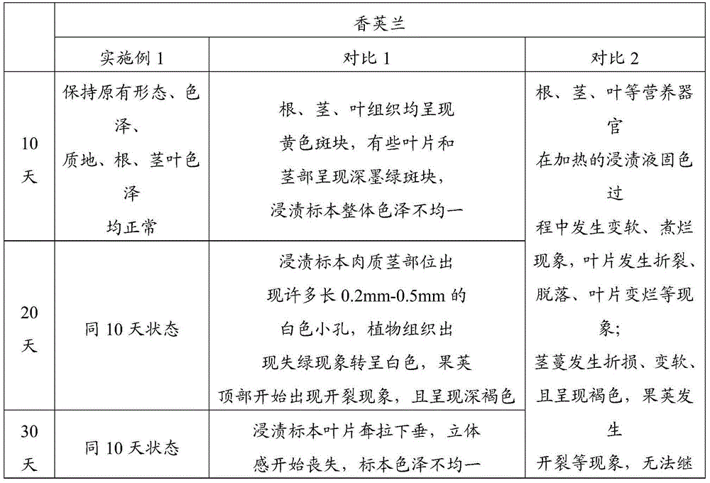 Preparation method for orchidaceae succulent plant dipping specimen