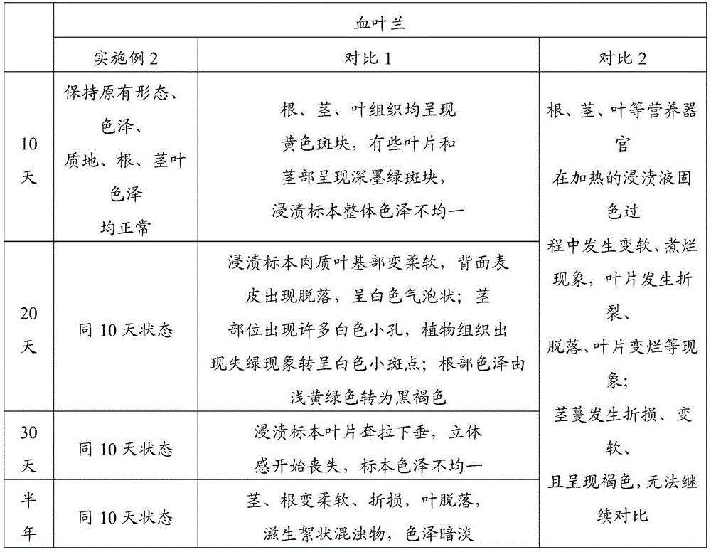 Preparation method for orchidaceae succulent plant dipping specimen