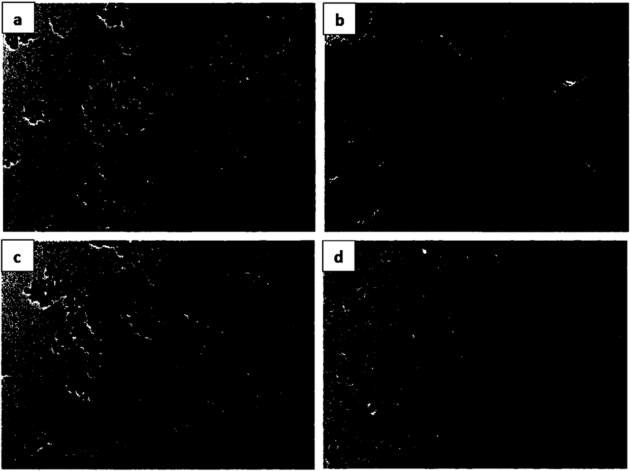 Molecularly imprinted magnetic microspheres for triazole pesticides and application of molecularly imprinted magnetic microspheres