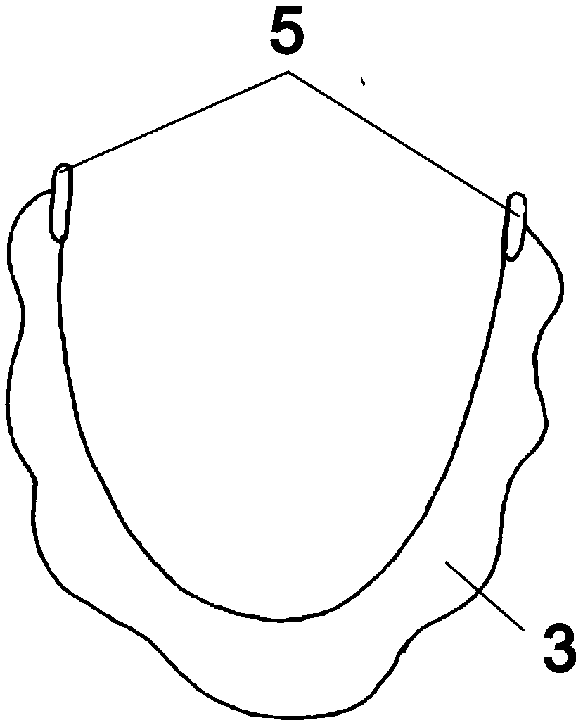 A facial irrigation auxiliary device and a facial cleaning method