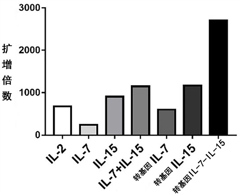 Preparation method for enhancing lethality of tumor infiltrating lymphocytes