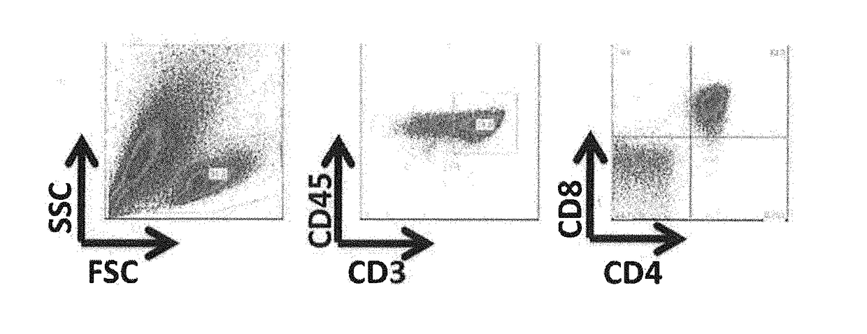 Method for induction of t cells from pluripotent stem cells