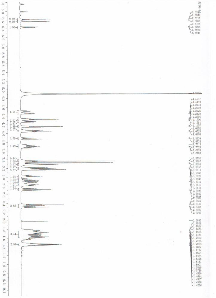 Salidroside-biotin small molecular probe as well as preparation method and application thereof