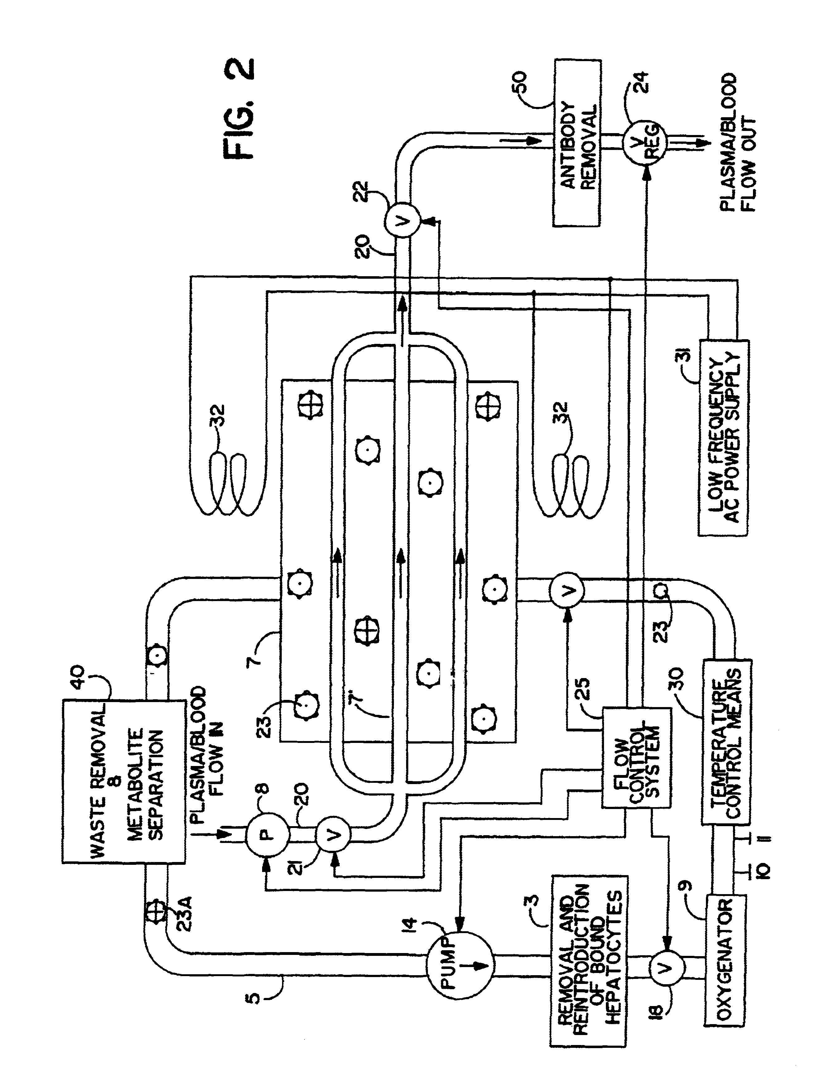 Artificial liver apparatus and method