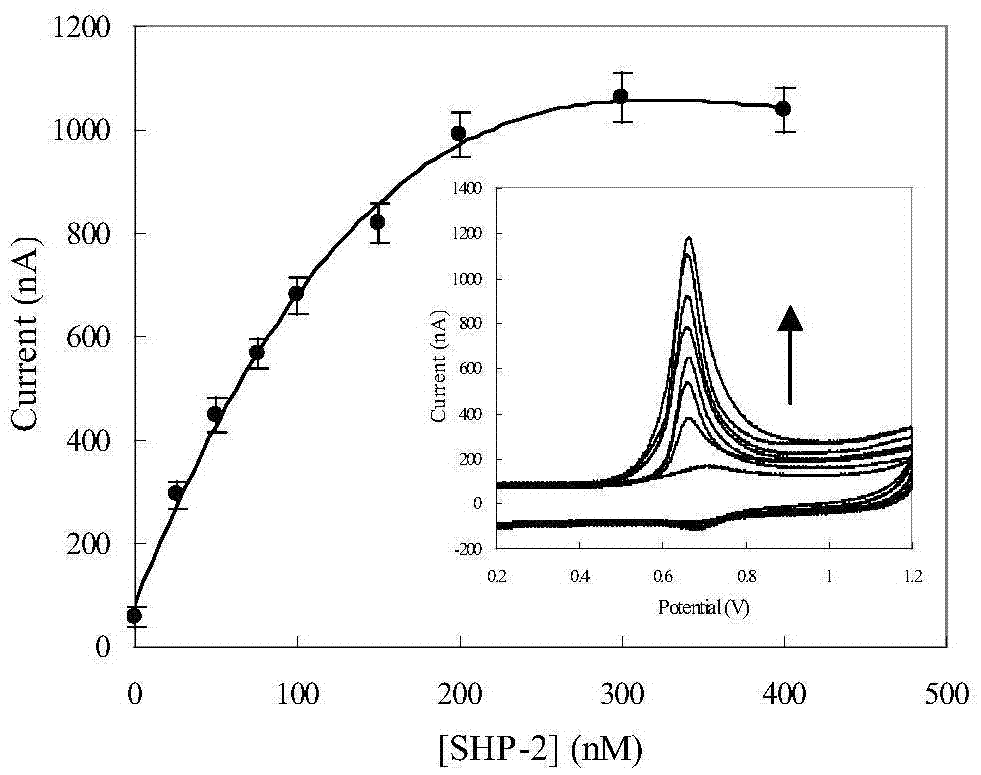 Label-free electrochemical sensing detection method used for activity of protein tyrosine phosphatase
