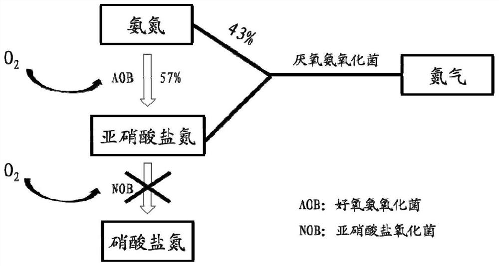 Sewage treatment device and method based on precise control of oxygen input