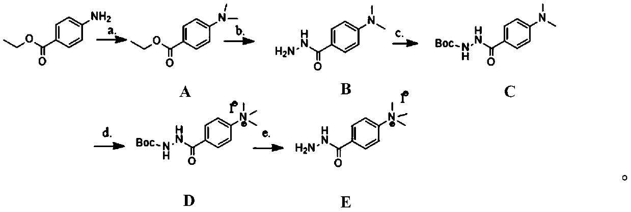 Preparation method and application of permanently charged hydrazine sugar markers