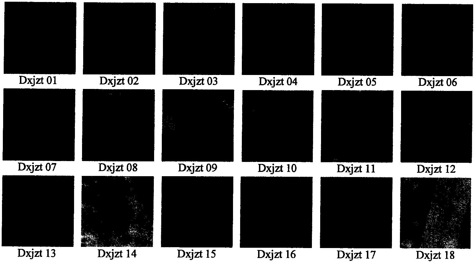 Automatic selection method of scene matching area based on image information entropy
