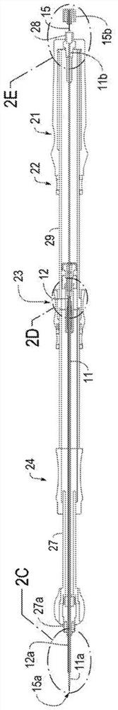 Apparatus for performing interventional endoscopic ultrasound surgery