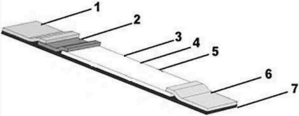 Preparation method of human myeloperoxidase immunochromatographic test strip