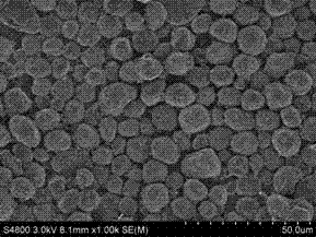 Hard carbon negative electrode material of lithium ion battery, preparation method and application of hard carbon negative electrode material