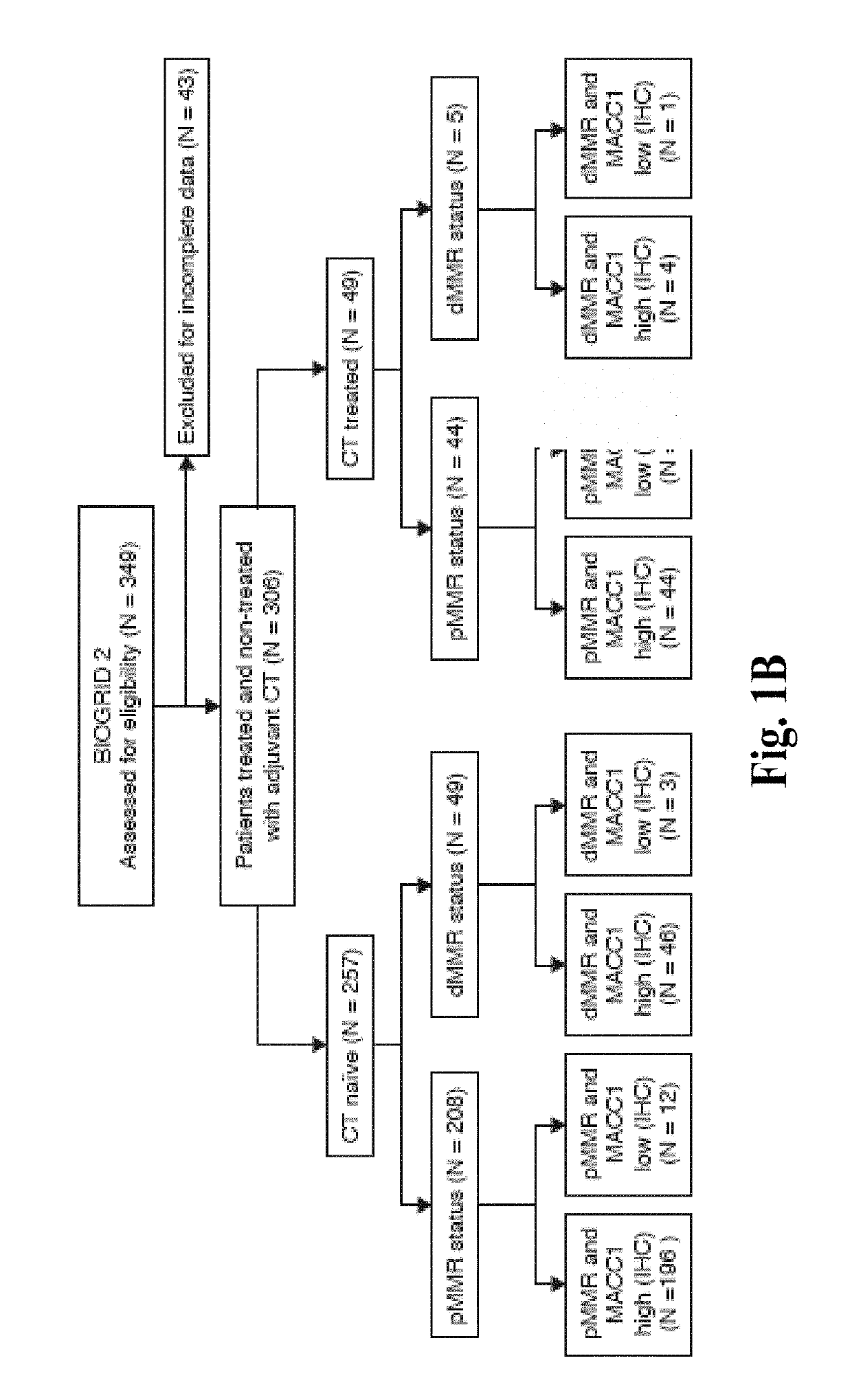 Compositions and methods for prognosing and treating colorectal cancer