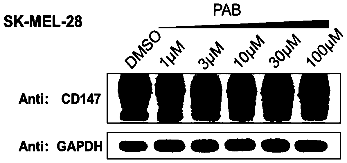 Bifunctional organic compound and preparation method and application thereof