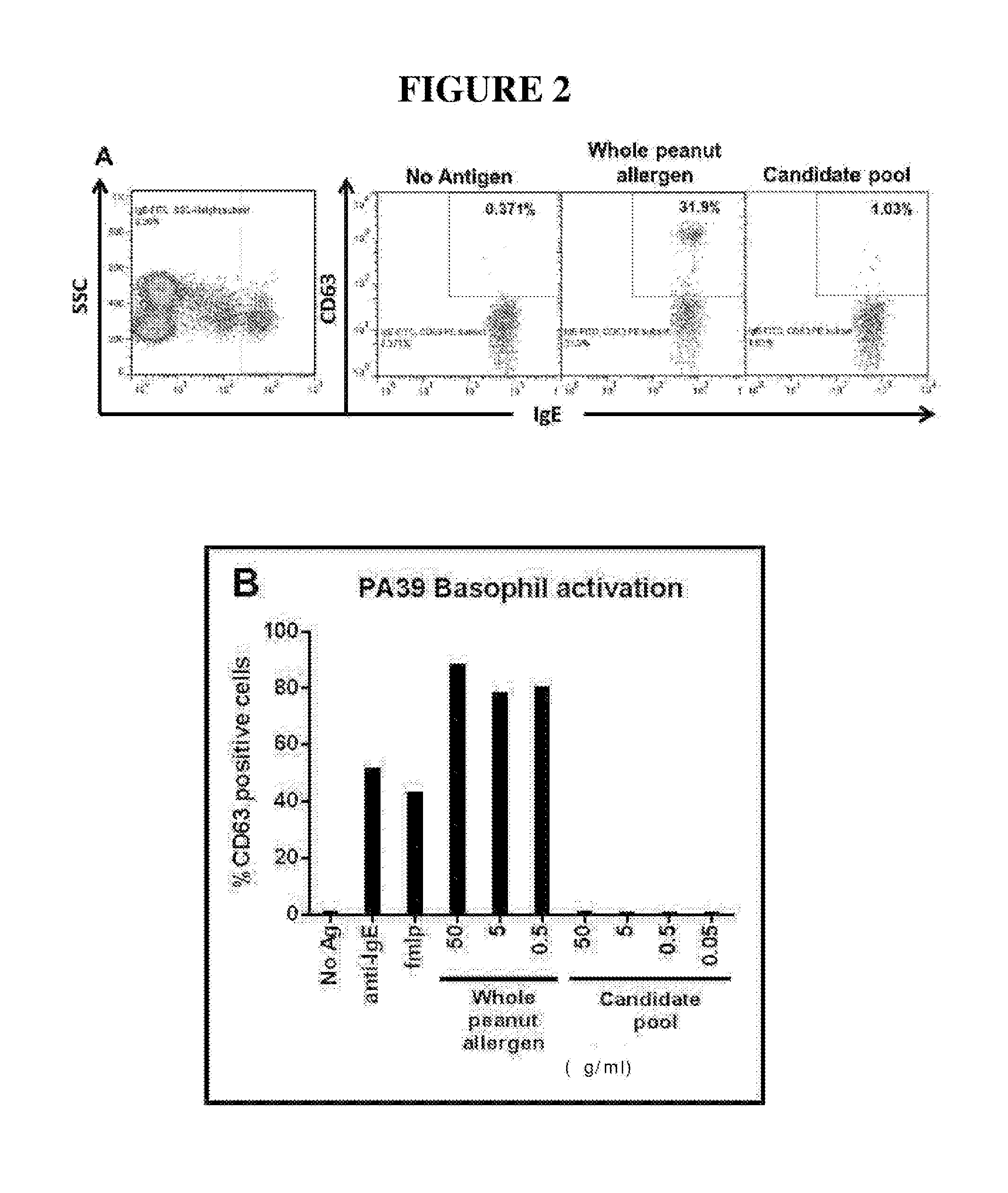 Novel immunotherapeutic composition and uses thereof