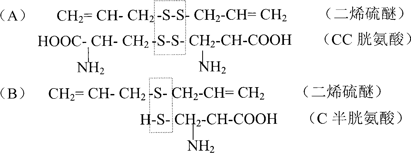 Allicin liposome for resisting microbe, protozoan and tumor and preparation method thereof