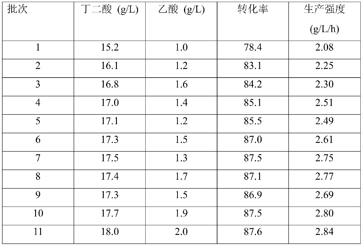 A method for fermenting and producing succinic acid by immobilizing Actinobacillus succinate with polypropylene non-woven fabric