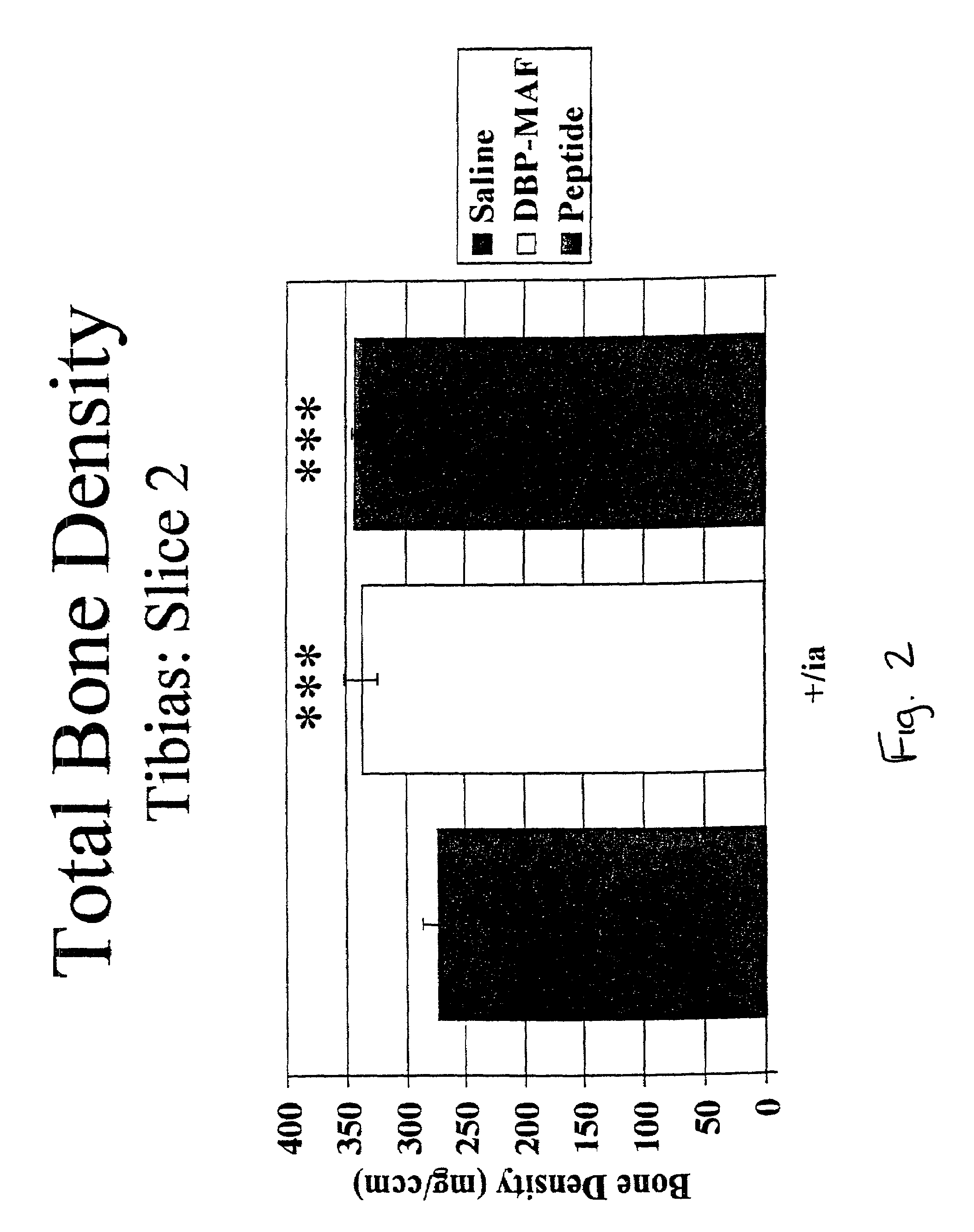 Agents and methods for promoting bone growth