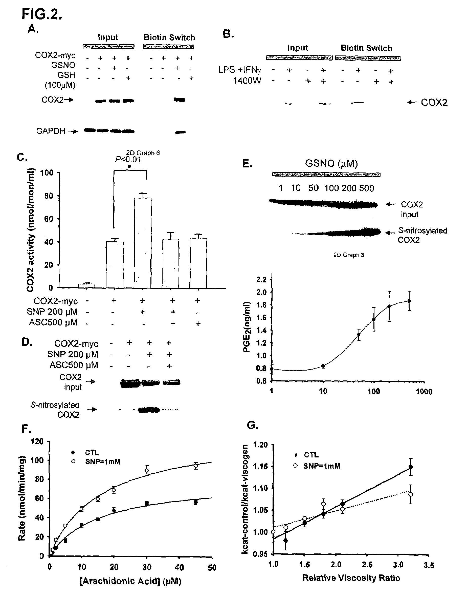 Inducible nitric oxide synthase binds, S-nitrosylates, and activates cyclooxygenase-2