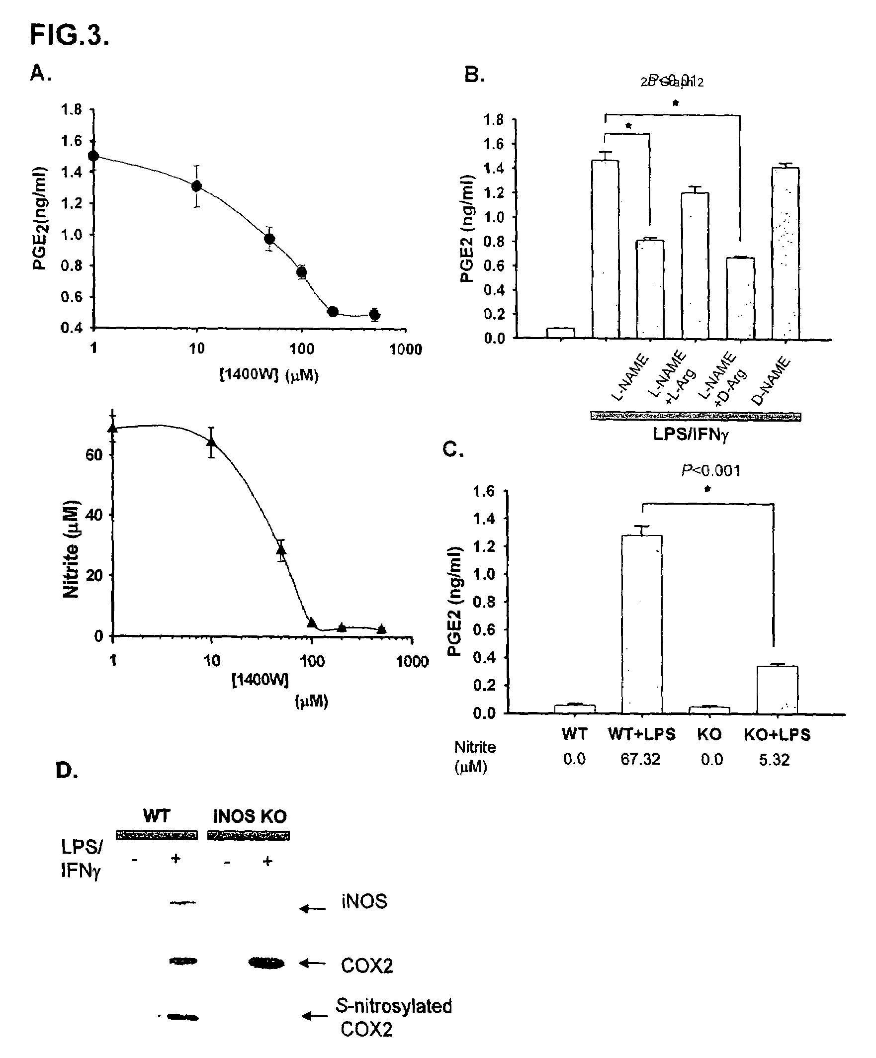 Inducible nitric oxide synthase binds, S-nitrosylates, and activates cyclooxygenase-2