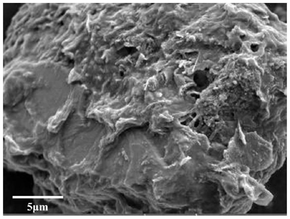 A diatom-based phase-change energy storage material and its preparation method and application