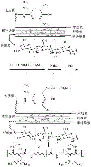 Plant fiber based solid amine adsorption material, preparation method and application thereof