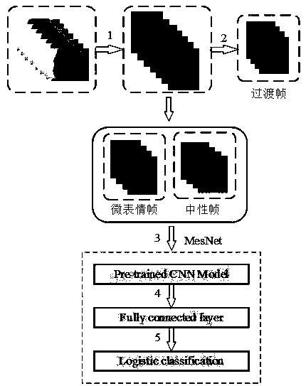 Micro-expression detection method based on self-adaptive transition frame removal depth network