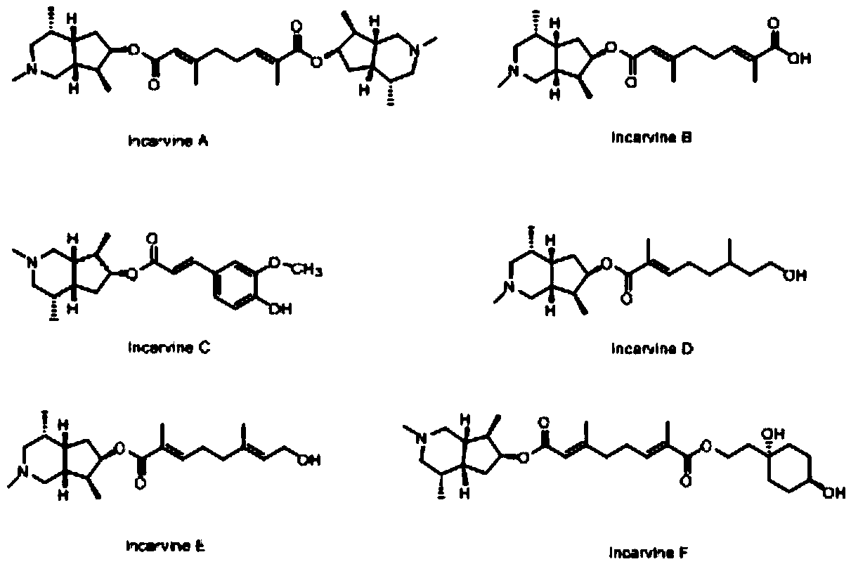 Application of carotene base compounds in the preparation of anti-breast cancer drugs