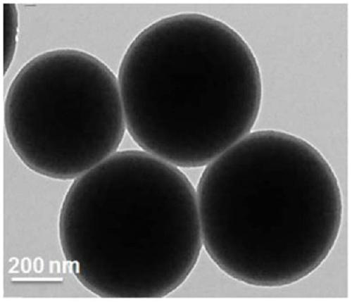 A magnetic nanoparticle with core-shell structure and its preparation and application