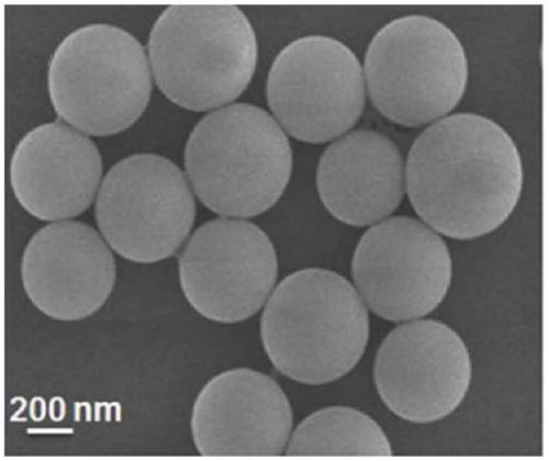 A magnetic nanoparticle with core-shell structure and its preparation and application