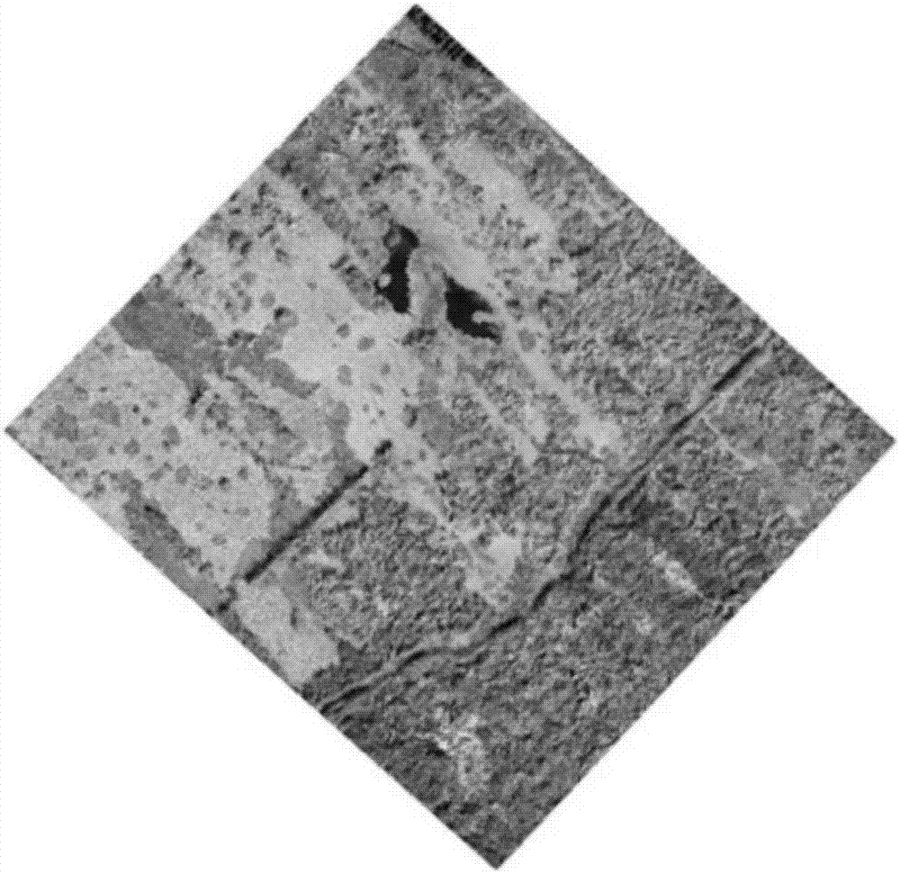 Method for estimating biomass of wetland plants through aerial photographic remote sensing of unmanned aerial vehicle