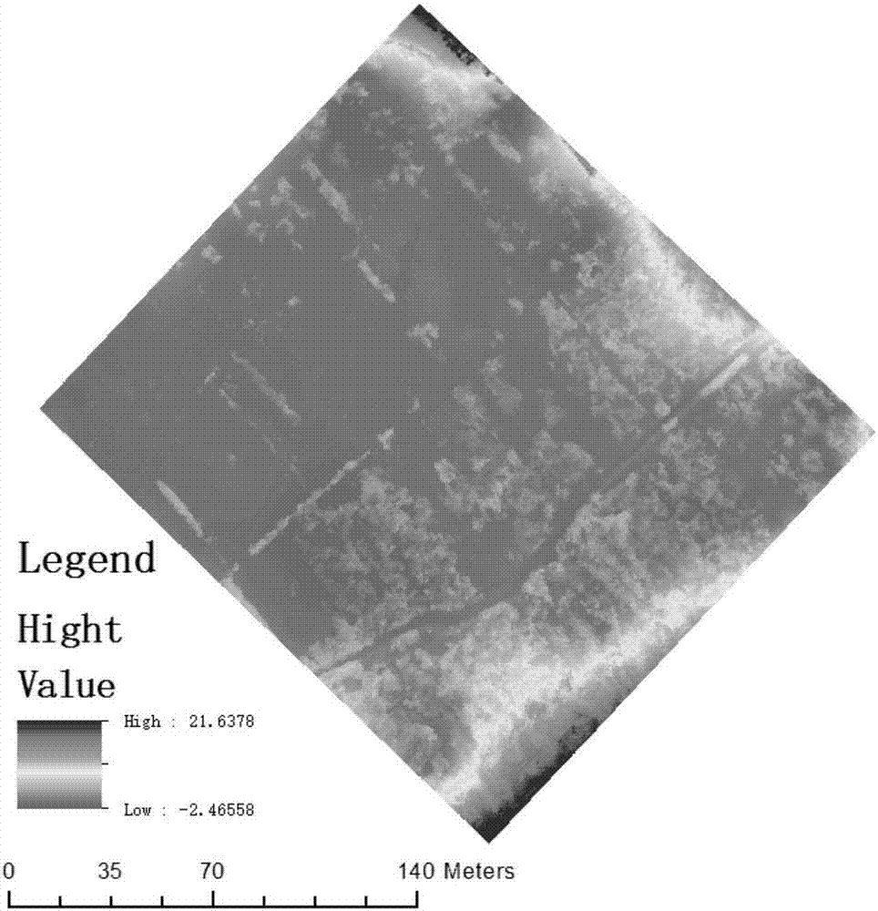 Method for estimating biomass of wetland plants through aerial photographic remote sensing of unmanned aerial vehicle