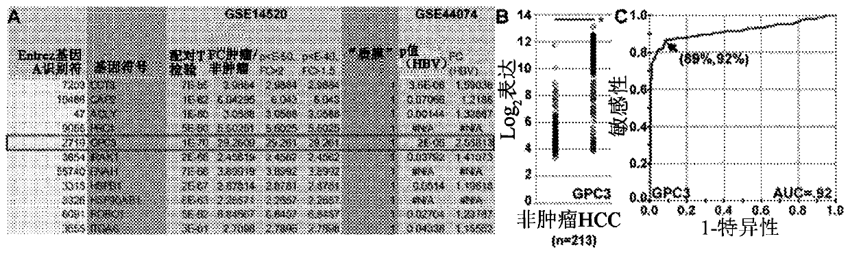 Glypican-3 peptide reagents and methods