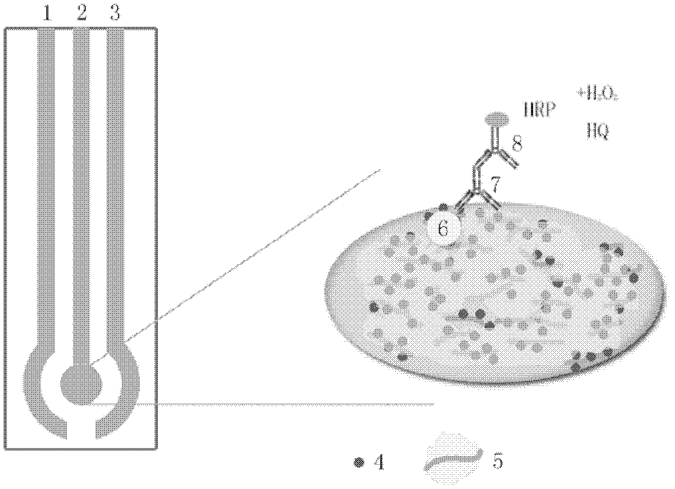 Screen-printed electrode and multiple modification method thereof and method for detecting zearalenone