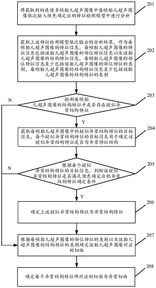 Fetal section determination method and device based on ultrasonic dynamic image