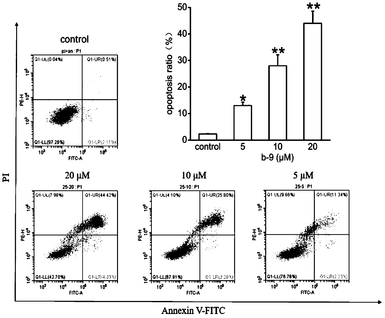 Chrysamide B derivative with anti-tumor activity and preparation and application of Chrysamide B derivative