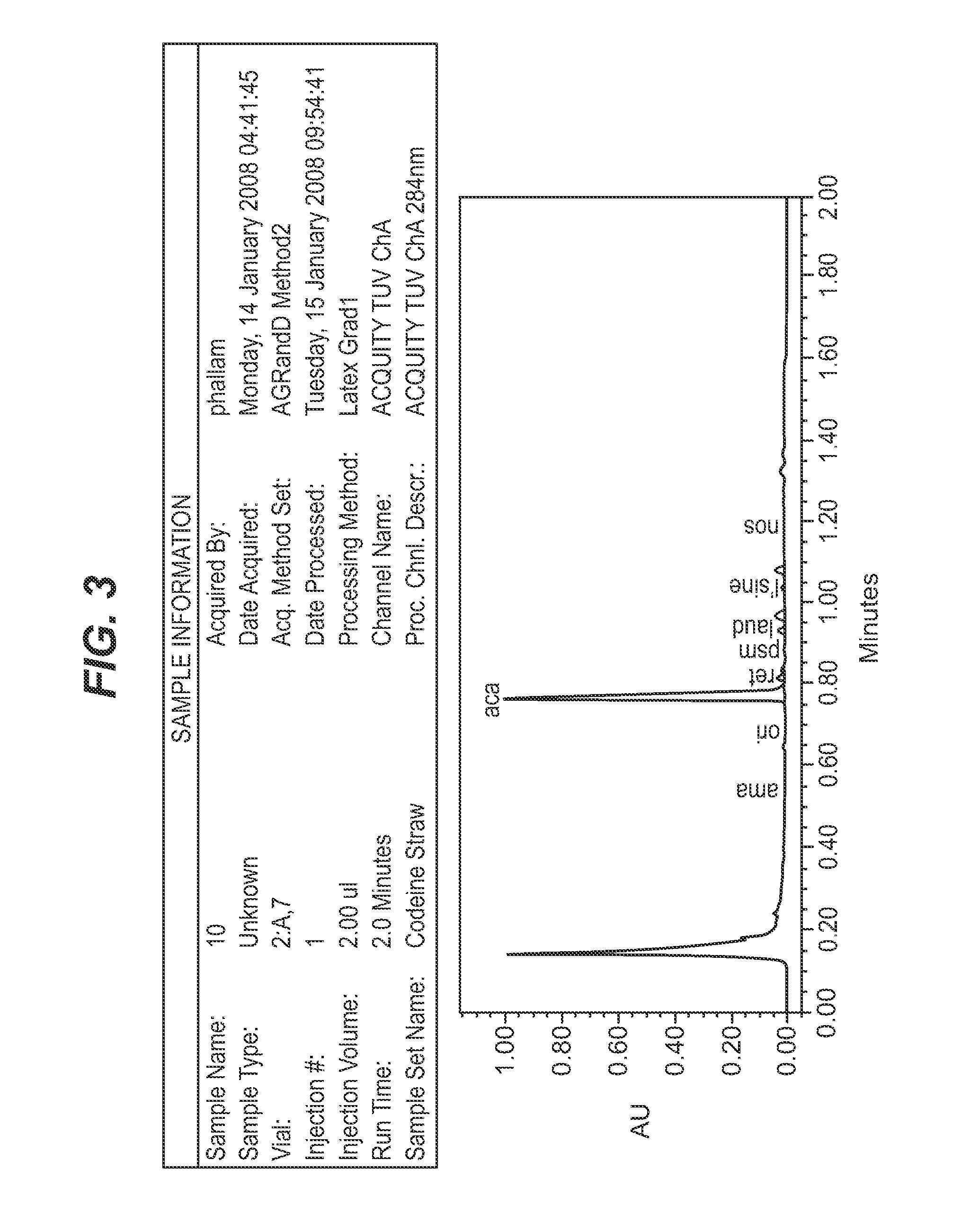 Papaver somniferum with high concentration of codeine