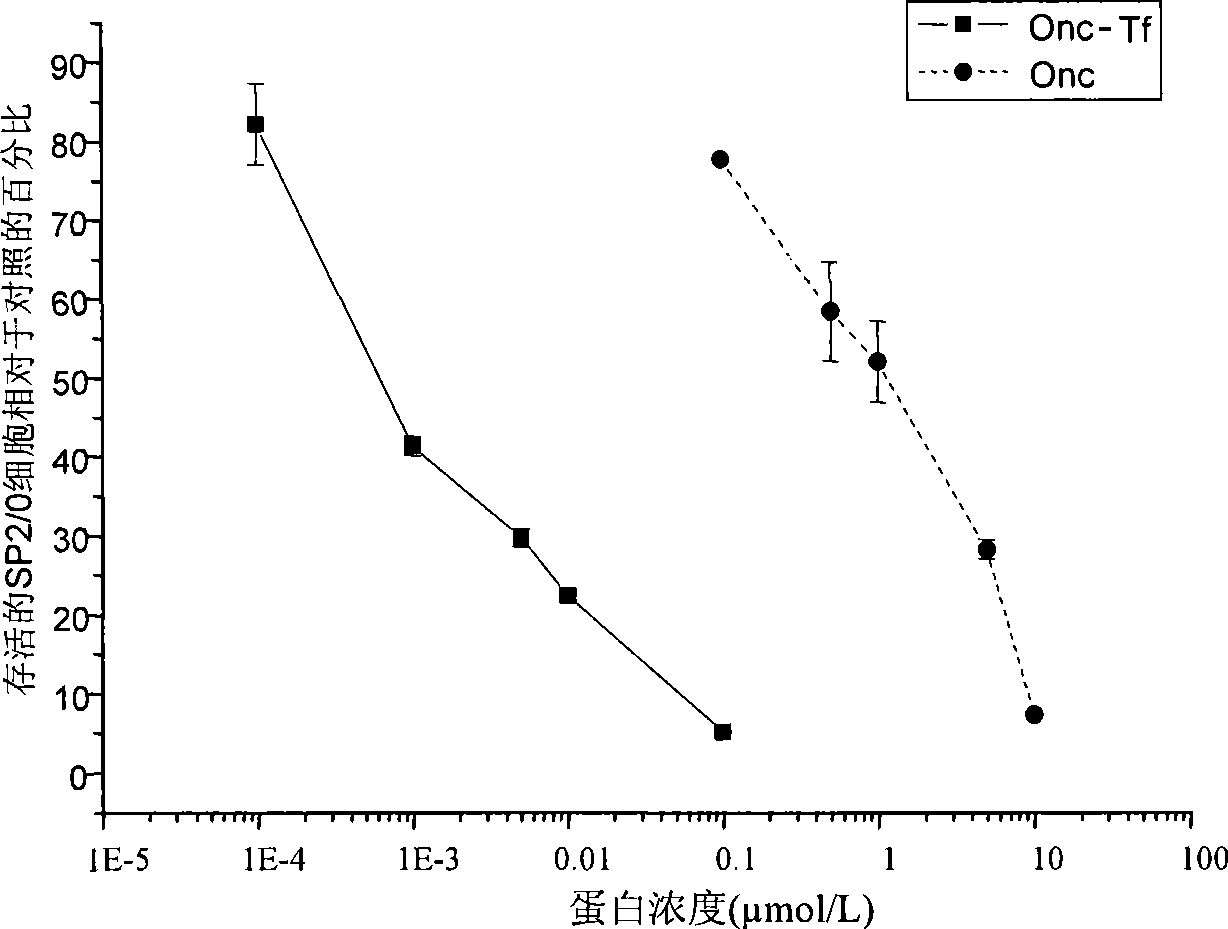 Transferrin-frog-egg ribonuclease coupler and production method and use thereof