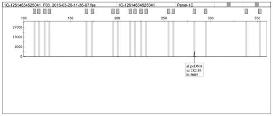 Kit for detecting human optimal partner potential genotype and method thereof