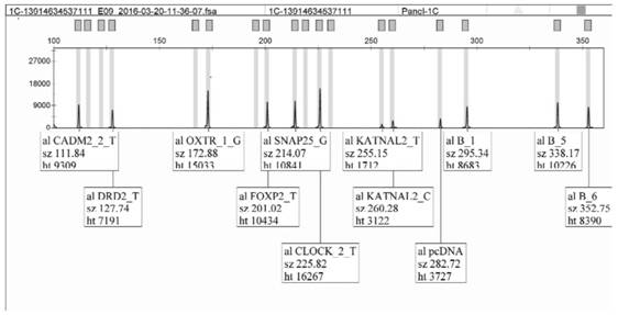 Kit for detecting human optimal partner potential genotype and method thereof