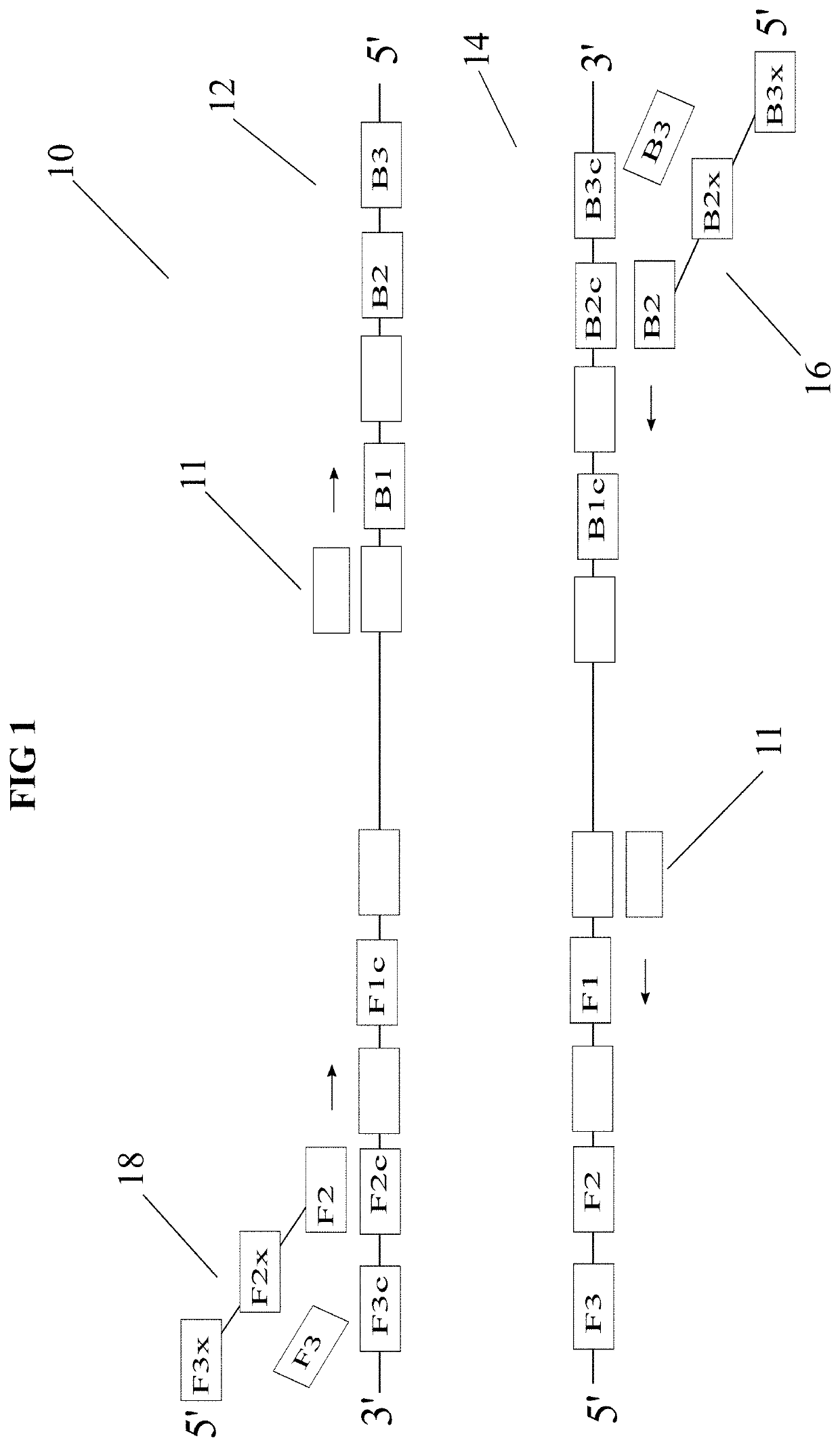 Methods for digital readout quantification of nucleic acids