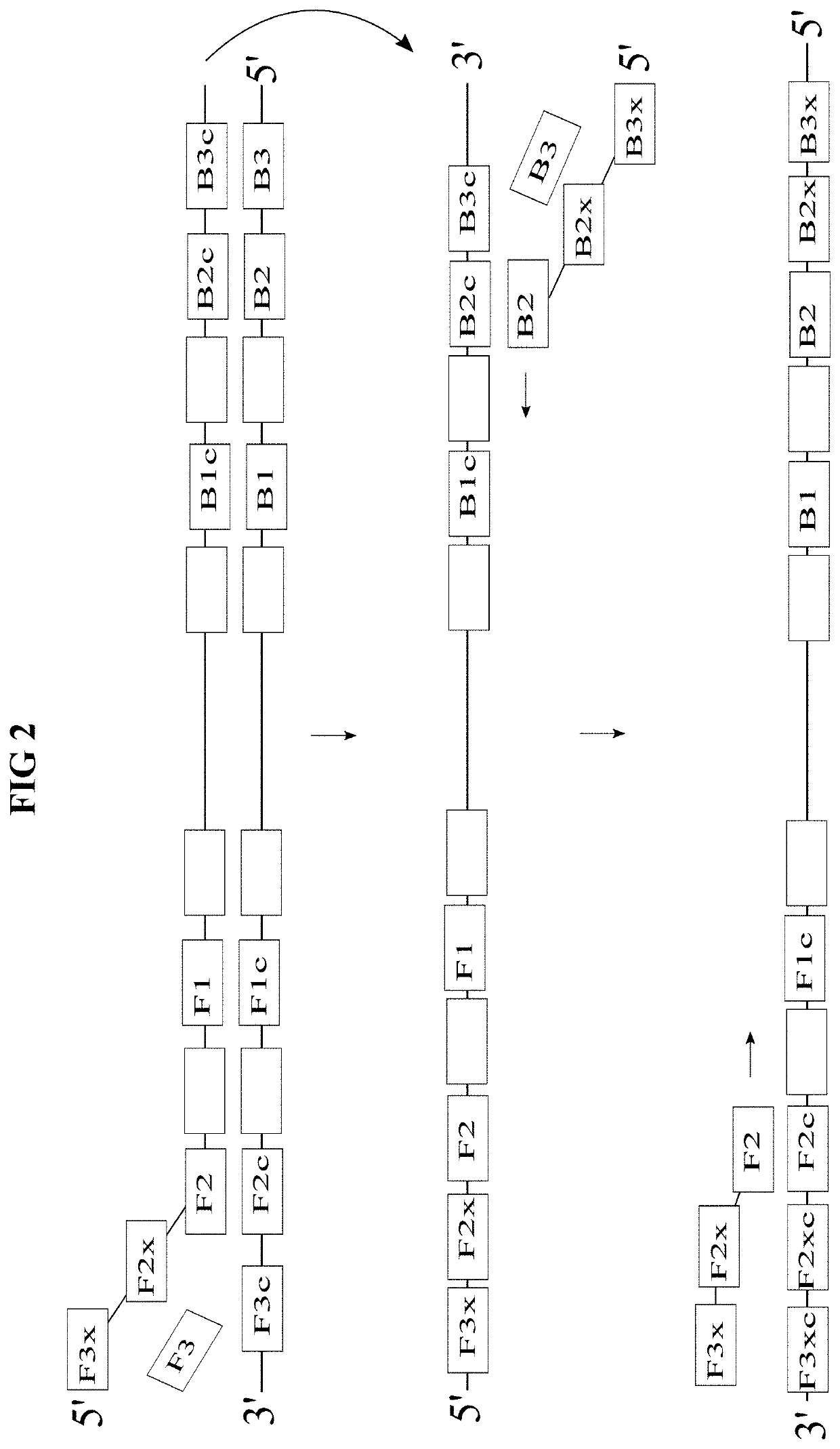 Methods for digital readout quantification of nucleic acids