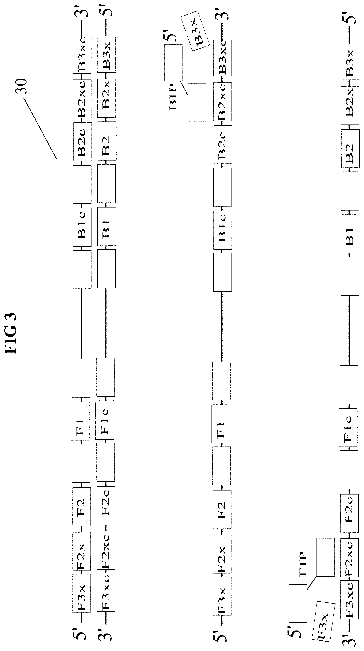 Methods for digital readout quantification of nucleic acids