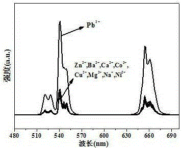 Nanoprobe for heavy metal ion up-conversion luminescence detection and preparation method thereof